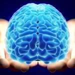 Beyin Sağlığını Korumak İçin Balık Yağı (Omega-3) Tüketin! Beyin Sağlığını Korumak İçin Balık Yağı (Omega 3) Tüketin!