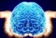 Beyin Sağlığını Korumak İçin Balık Yağı (Omega-3) Tüketin! Beyin Sağlığını Korumak İçin Balık Yağı (Omega 3) Tüketin!