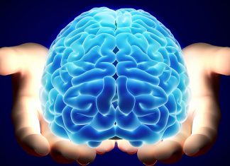 Beyin Sağlığını Korumak İçin Balık Yağı (Omega-3) Tüketin! Beyin Sağlığını Korumak İçin Balık Yağı (Omega 3) Tüketin!