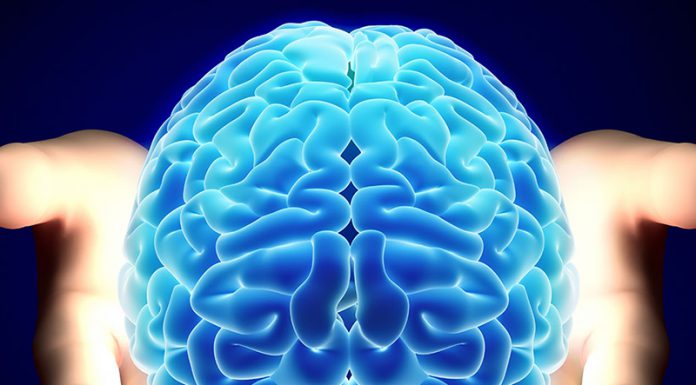 Beyin Sağlığını Korumak İçin Balık Yağı (Omega-3) Tüketin! Beyin Sağlığını Korumak İçin Balık Yağı (Omega 3) Tüketin!