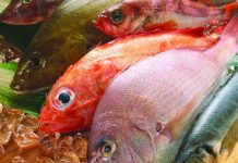 Omega-3 Bakımından Çok Zengin 5 Deniz Ürünü Omega-3 Bakımından Çok Zengin 5 Deniz Ürünü