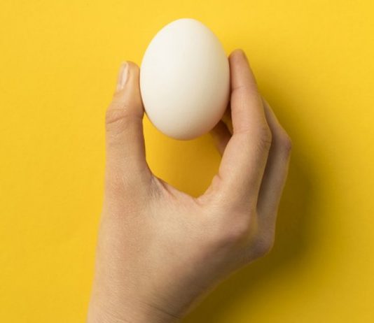 Zenginleştirilmiş Omega-3 Yumurtası Nedir? Zenginleştirilmiş Omega-3 Yumurtası Nedir