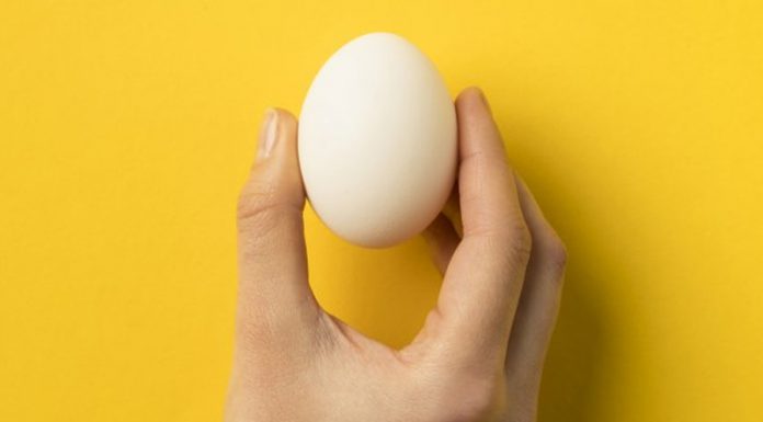 Zenginleştirilmiş Omega-3 Yumurtası Nedir? Zenginleştirilmiş Omega-3 Yumurtası Nedir