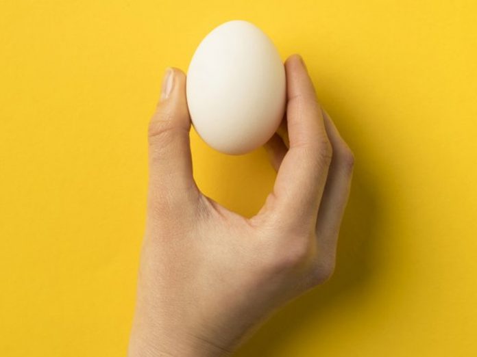 Zenginleştirilmiş Omega-3 Yumurtası Nedir